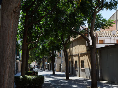 Santagloria - Doctor Reig - Viladecans (Viladecans, Barcelona)