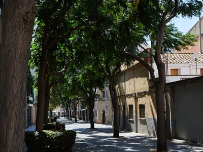 Santagloria Doctor Reig - Viladecans | Barcelona