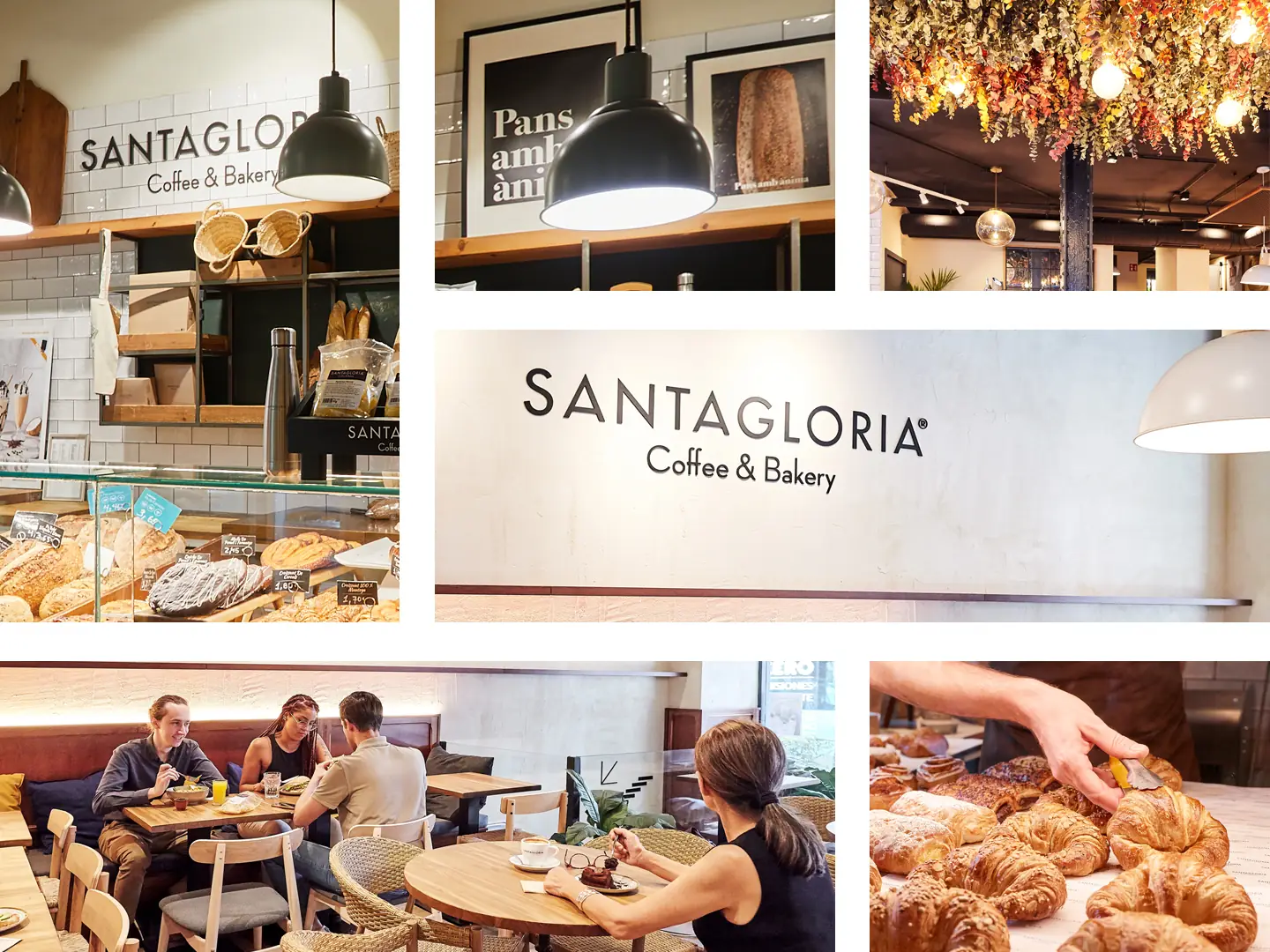 Franquicia rentable - Santagloria