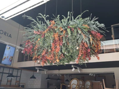 Santagloria Olmos - Palma de Mallorca | Mallorca