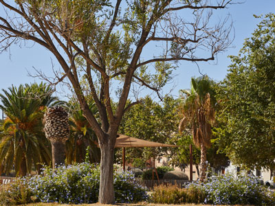 Santagloria - CC Splau - Cornellà de Llobregat (Cornellà de Llobregat, Barcelona)